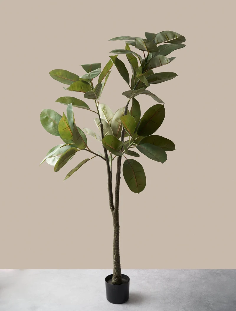 Faux Ficus Elastica Tree