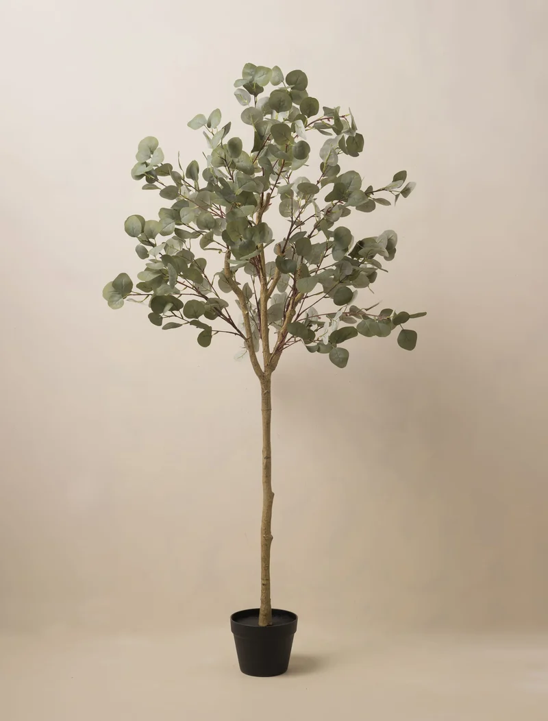 Faux Eucalyptus Tree 160cm / 5ft 2"