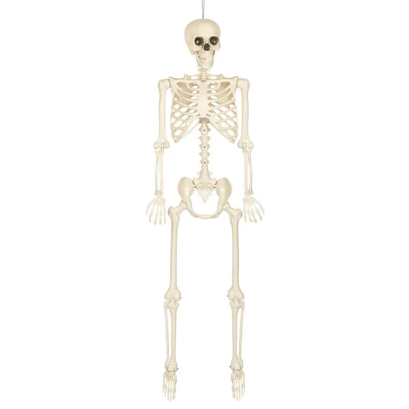 Hangdecoratie Skelet skinny (160 cm)