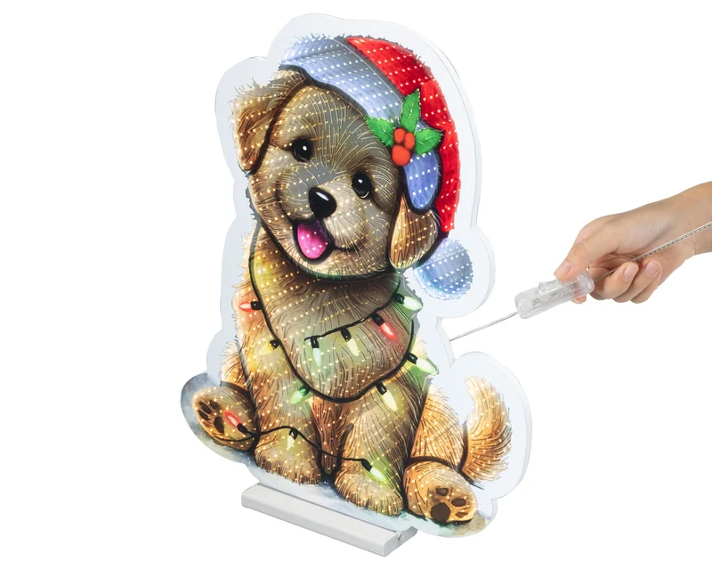 Infinity lights hond groot (Nieuw)