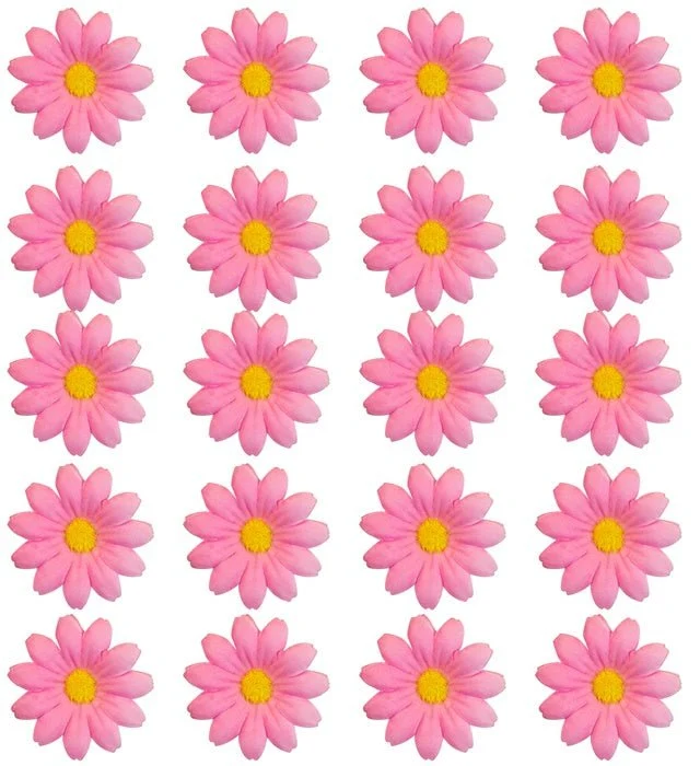 Set Van 20 Decoratieve Roze Bloemen