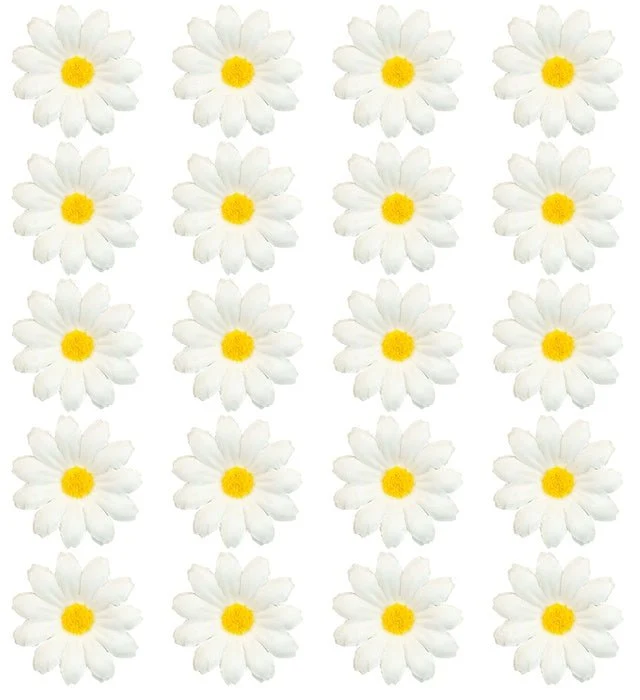 Set Van 20 Decoratieve Madeliefjes