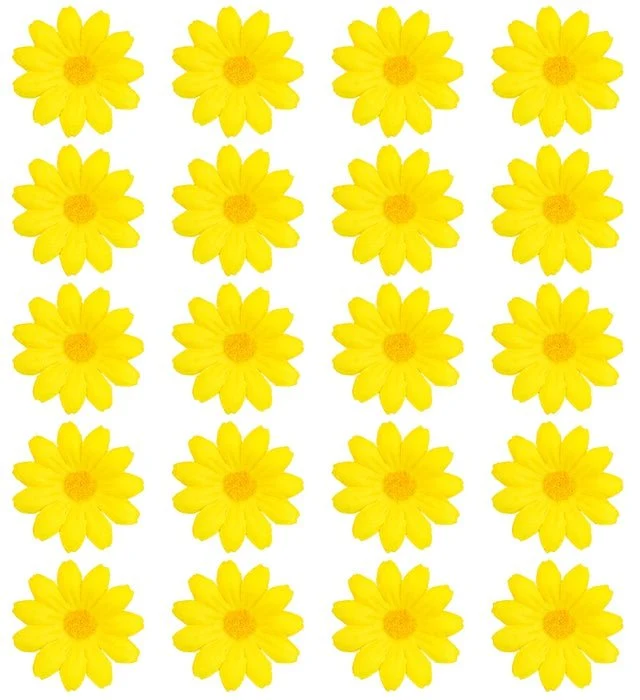 Set Van 20 Decoratieve Gele Bloemen