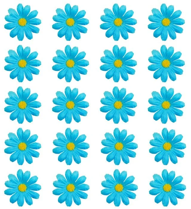 Set Van 20 Decoratieve Licht Blauwe Bloemen