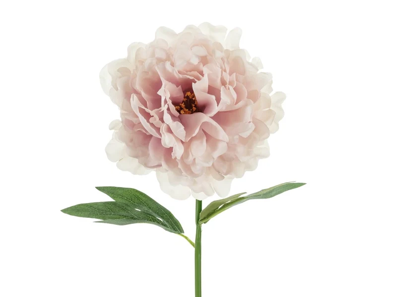 Roze Nep Bloem Pioenroos
