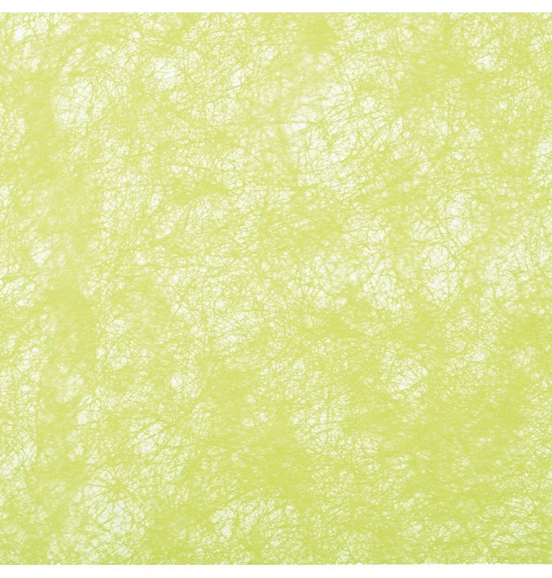 Lime Groene Lint 10m