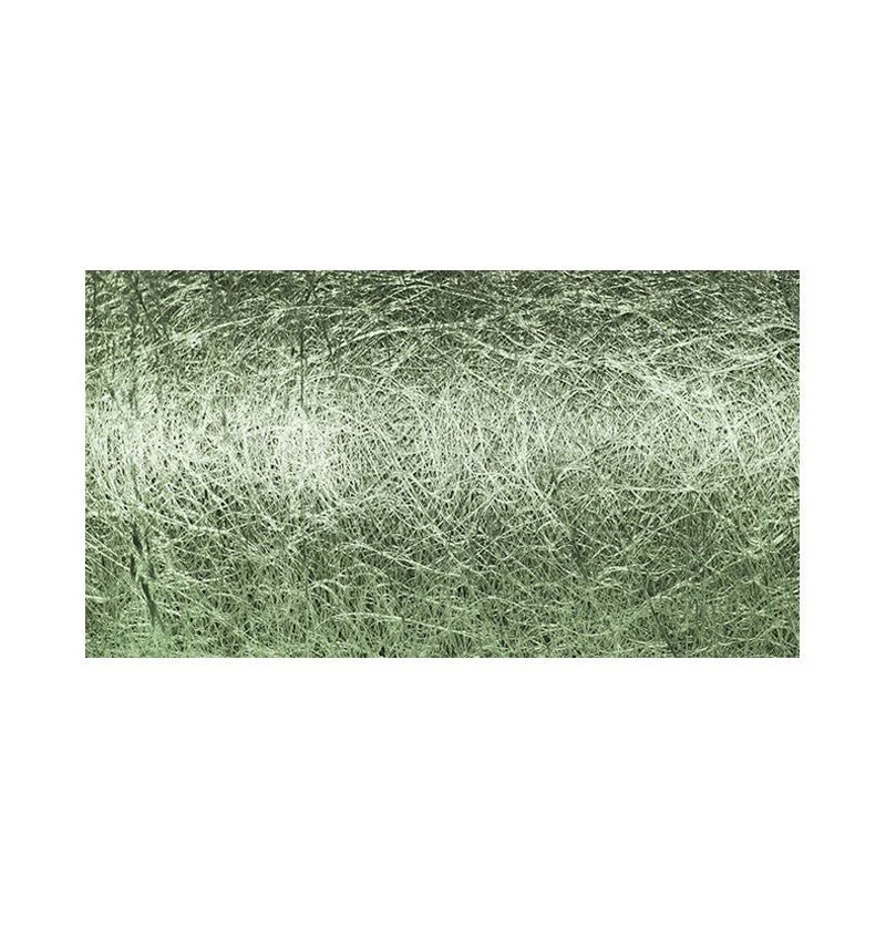 Groene Lint 10Cm 10m