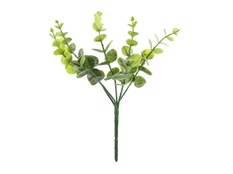 Groene Nep Eucalyptustak 27cm