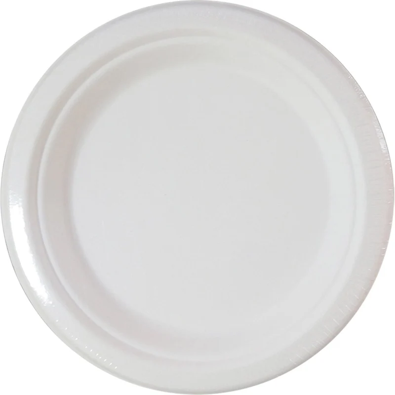 Witte Borden 23cm 10st