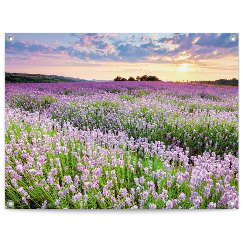 Reinders tuinposter Lavendelveld - 60x80cm