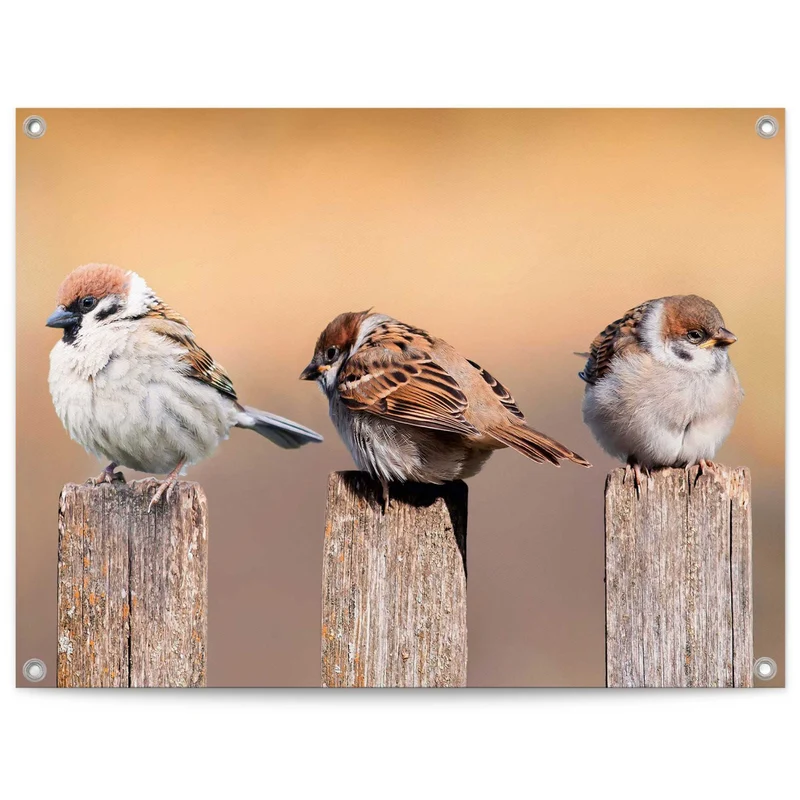 Reinders tuinposter Vogels - 60x80cm