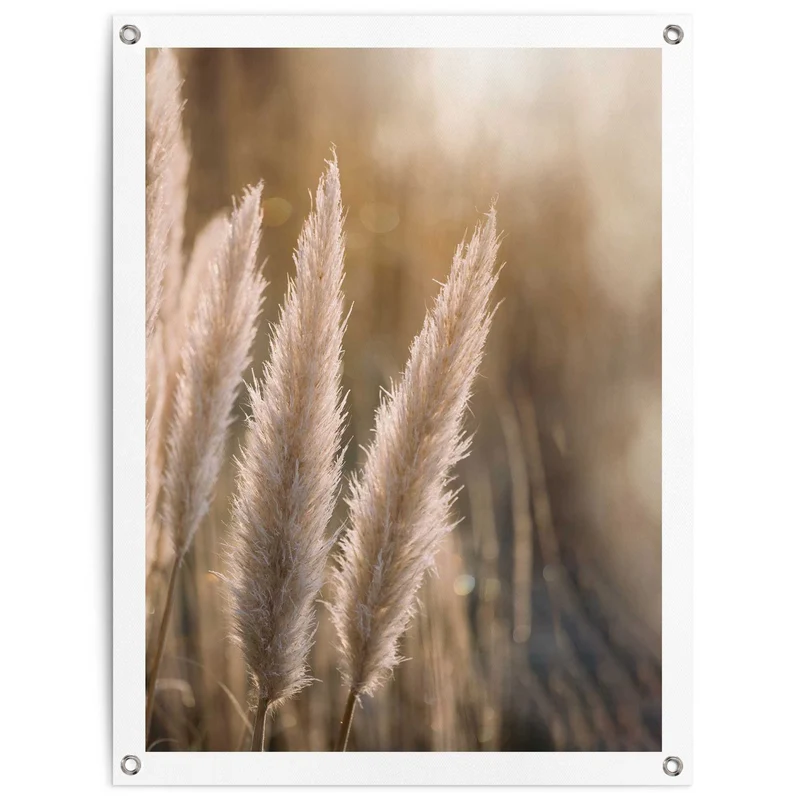 Reinders tuinposter Pampas - 80x60cm