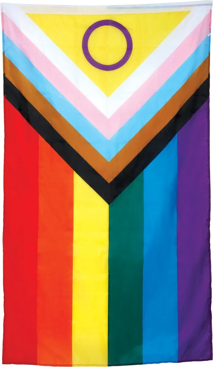 Regenboog Vlag 1,50m