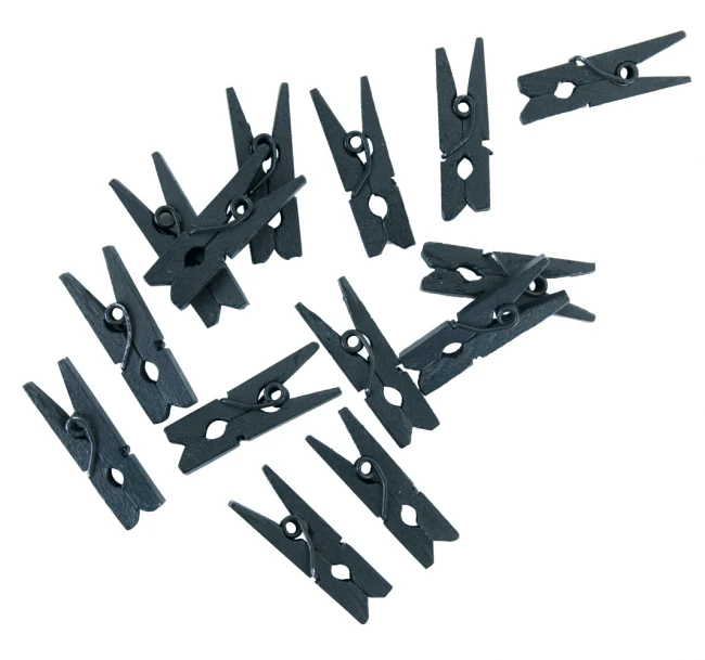 Mini Knijpers Hout Zwart 24st