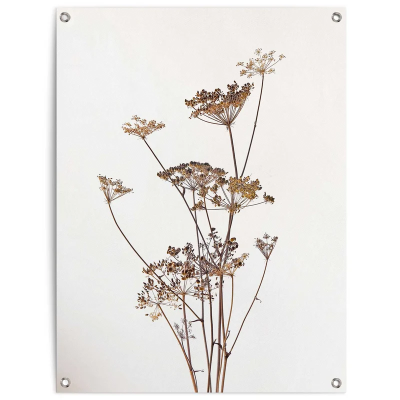 Reinders tuinposter Bereklauw - 80x60cm