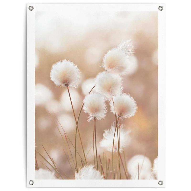 Reinders tuinposter Katoentak - 80x60cm