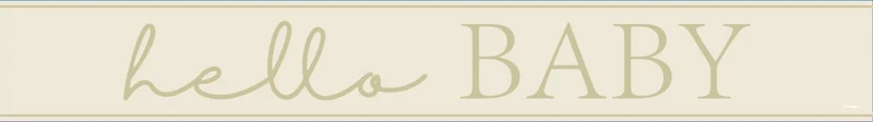 Geboorte Banner Beige Hello Baby 2,74m