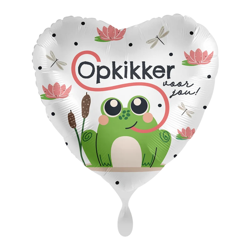 Kikker Helium Ballon Leeg 43cm