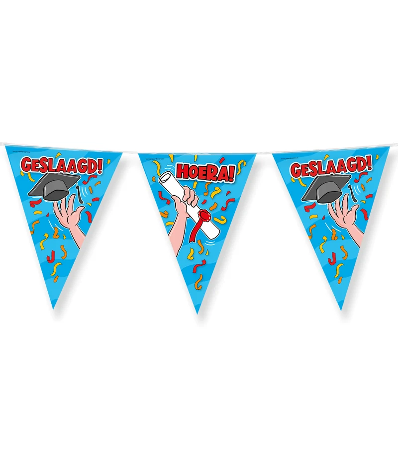 Geslaagd Slingers Carton 5m