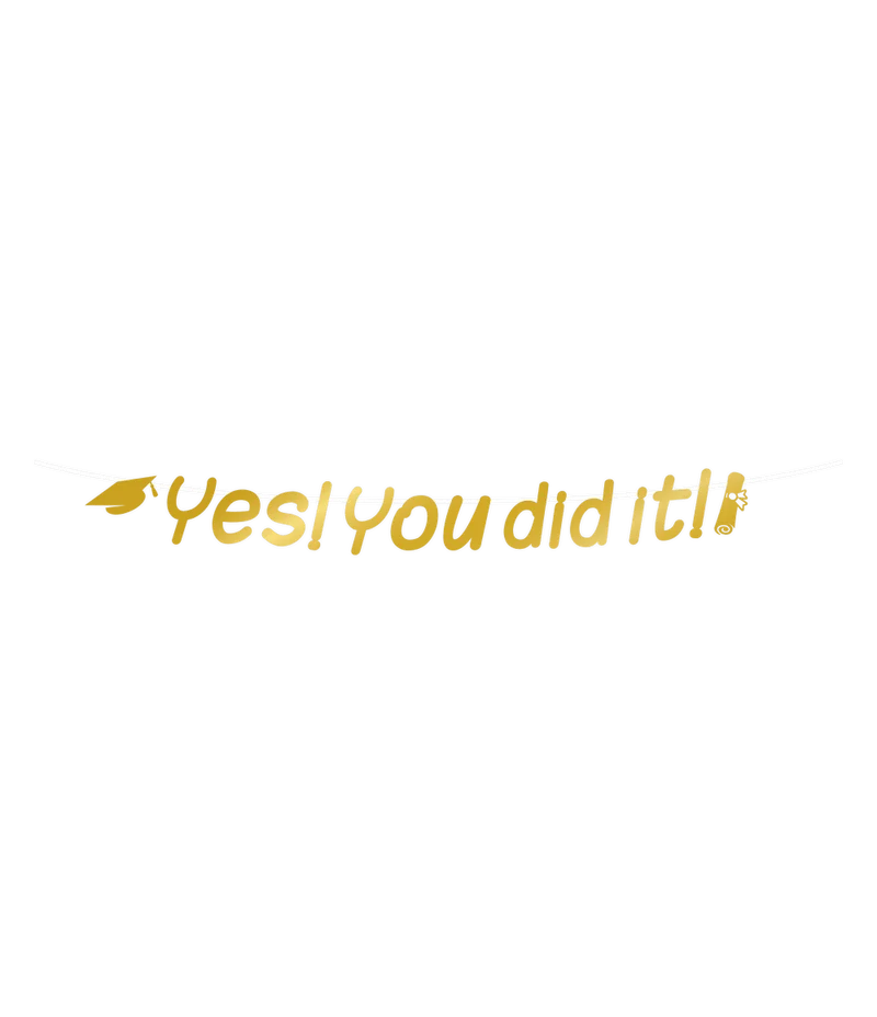 Geslaagd Letterslinger Yes You Did It 2,5m