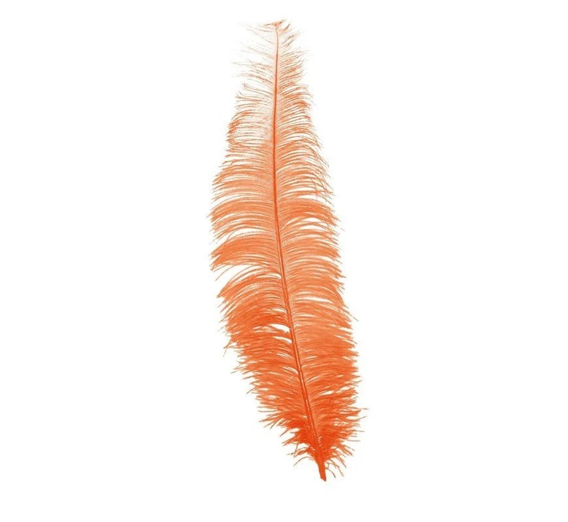 Oranje Struisvogelveren 40cm 12st