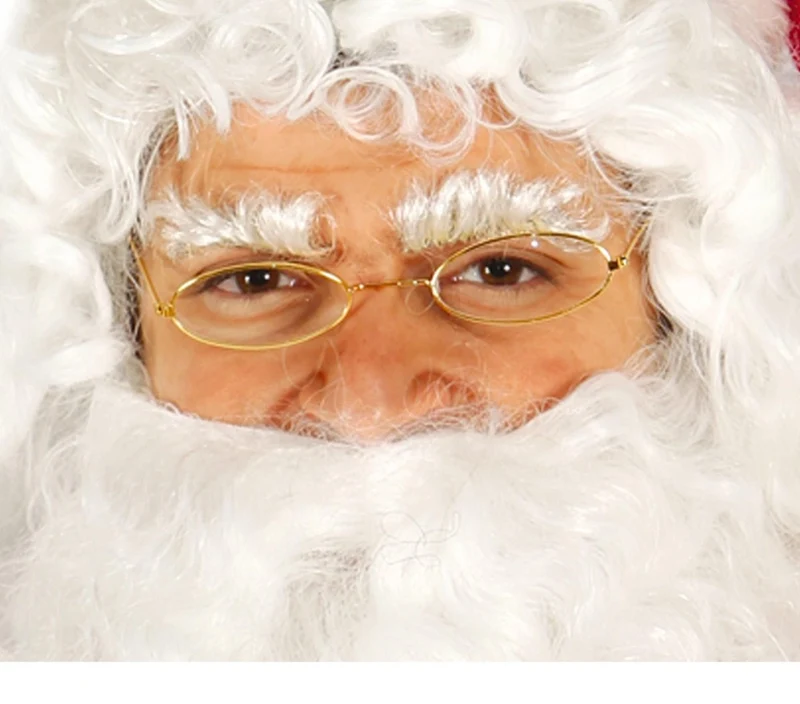 Kerstman Bril Deluxe